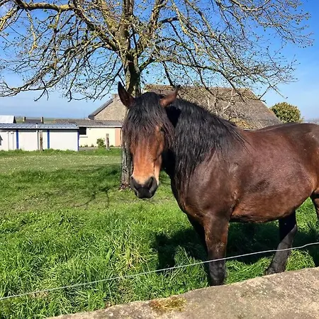 Maison 5 P, Face Mont St Michel