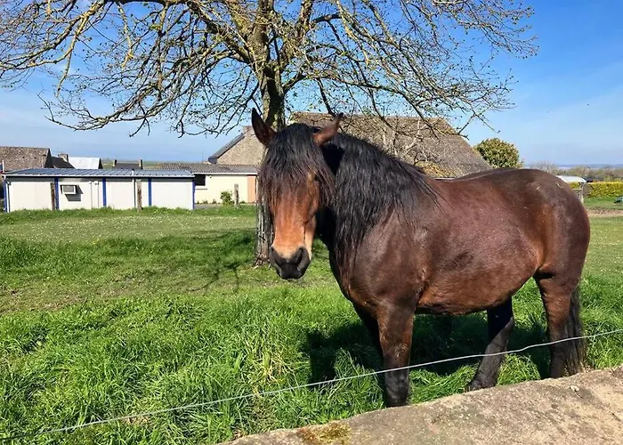 Maison 5 P, Face Mont St Michel